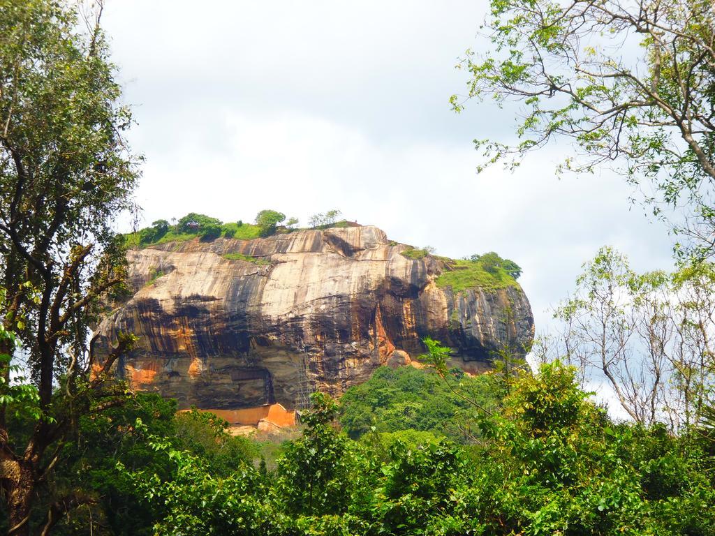 The Nilmini Lodge Sigiriya Dış mekan fotoğraf