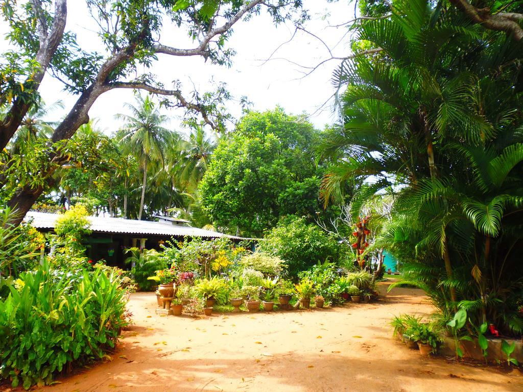 The Nilmini Lodge Sigiriya Dış mekan fotoğraf